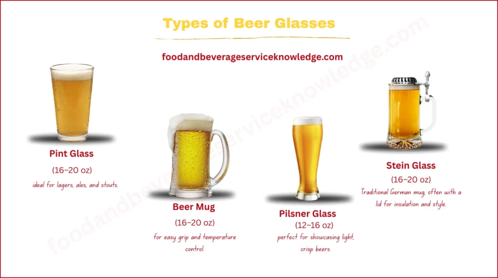 Infographic showing different beer glasses, including pint glass, beer mug, pilsner glass, and stein glass, with their sizes and best uses.
