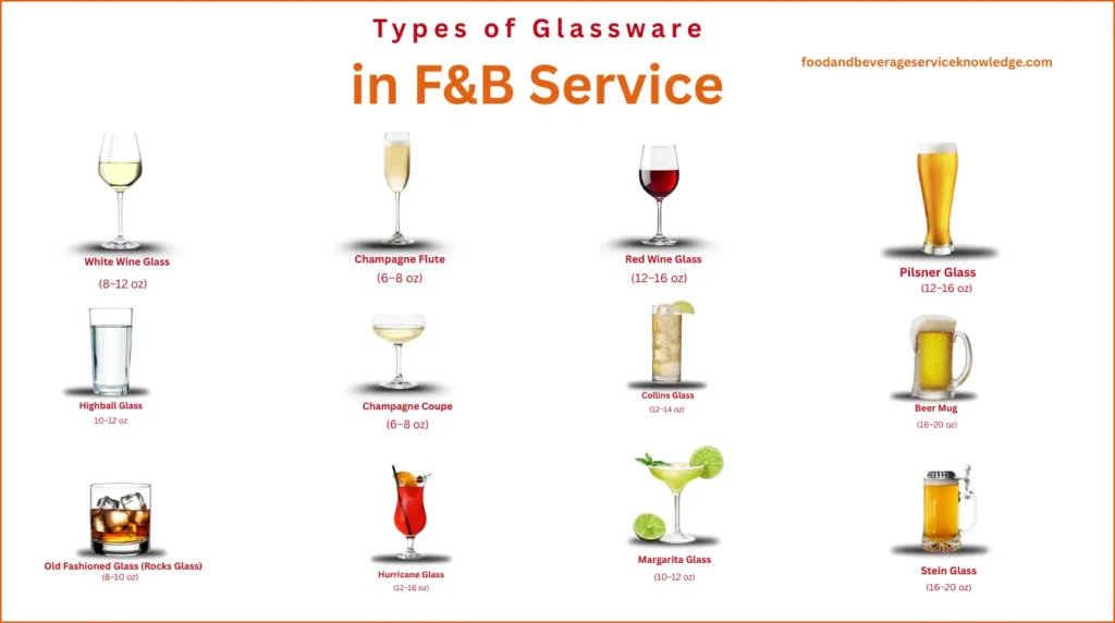 Infographic showing different types of glassware used in food and beverage service, including red wine glass, white wine glass, champagne flute, champagne coupe, margarita glass, hurricane glass, Collins glass, beer mug, pilsner glass, stein glass, highball glass, and old fashioned glass, with labeled sizes.